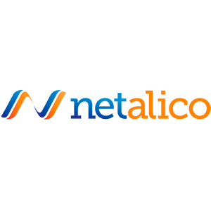 Firebear Studio partner Netalico
