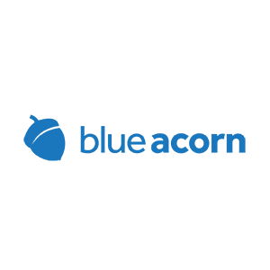 Firebear Studio partner Blue Acorn