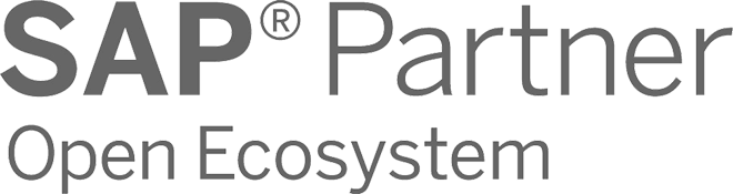 SAP partner ecosystem